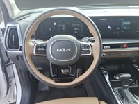 2025 Kia Sorento X-Line Limited AWD w/Olive Brown Interior