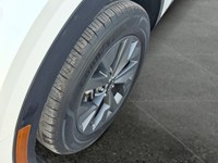 2023 Kia Sportage HEV SX AWD w/Red Interior