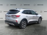 2020 Ford Escape SEL image 5