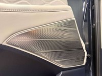 2021 Hyundai Palisade Ultimate Calligraphy