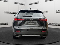 2021 Lexus NX 300 NX 300 AWD