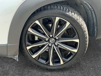 2025 Mazda CX-50 GT w/Turbo AWD