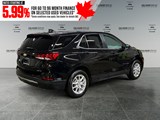 2024 Chevrolet Equinox LT image 5