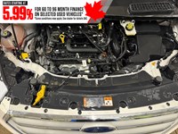 2019 Ford Escape SE 4WD