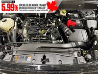 2023 Ford Bronco Sport Outer Banks 4x4