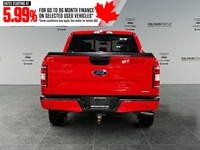 2019 Ford F-150 XLT 4WD SuperCrew 5.5' Box
