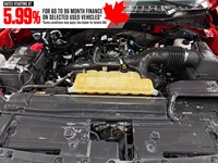 2019 Ford F-150 XLT 4WD SuperCrew 5.5' Box
