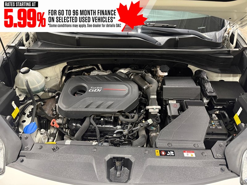 2019 Kia Sportage SX Turbo AWD w/Black