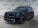 2023 Kia Telluride SX image 1