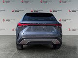2023 Lexus RX 350 Base image 4