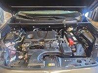 2025 Toyota RAV4 LE AWD