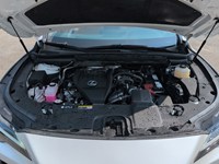 2023 Lexus RX 350 RX 350 Auto