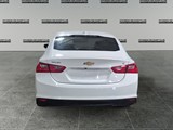 2023 Chevrolet Malibu 1LT image 4