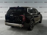 2023 Kia Telluride SX image 5