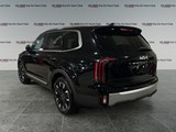 2023 Kia Telluride SX image 3