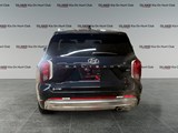 2023 Hyundai Palisade Ultimate Calligraphy image 4