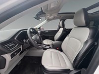 2024 Ford Escape Platinum AWD