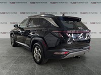 2024 Hyundai Tucson Trend AWD