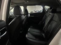 2024 Kia Seltos EX Premium AWD