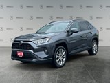 2019 Toyota RAV4 XLE image 1