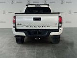 2023 Toyota Tacoma LTD Nightshade image 4