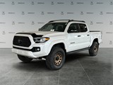2023 Toyota Tacoma LTD Nightshade image 1