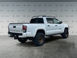 2023 Toyota Tacoma LTD Nightshade image 5