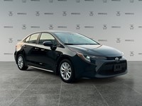 2022 Toyota Corolla LE Upgrade | Low KM's
