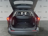 2021 Toyota RAV4 XLE AWD