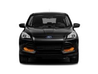 2013 Ford Escape 4WD 4dr SEL Exterior Shot 6