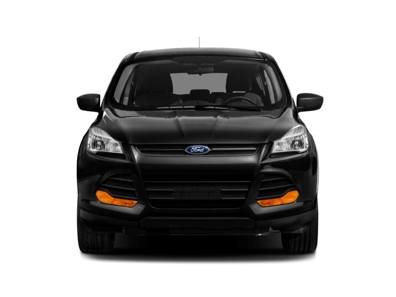 2013 Ford Escape 4WD 4dr SEL Exterior Shot 6