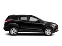 2013 Ford Escape 4WD 4dr SEL Exterior Shot 11