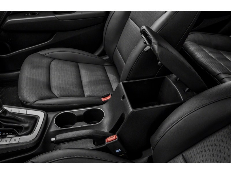 2017 Hyundai Elantra 4dr Sdn Auto Limited SE Interior Shot 7