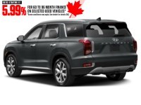 2022 Hyundai Palisade Luxury 7-Passenger AWD Exterior Shot 9