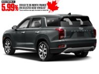 2020 Hyundai Palisade Luxury 7-Passenger AWD Exterior Shot 9