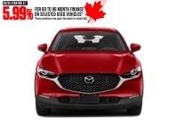 2021 Mazda CX-30 GX AWD Exterior Shot 5