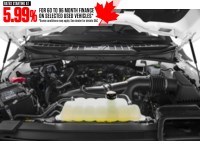 2022 Ford F-150 XLT 4WD SuperCrew 5.5' Box Exterior Shot 3