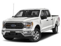 2021 Ford F-150 XLT 4WD SuperCrew 5.5' Box Exterior Shot 1