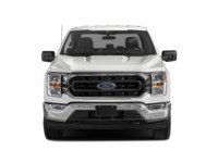 2021 Ford F-150 XLT 4WD SuperCrew 5.5' Box Exterior Shot 5