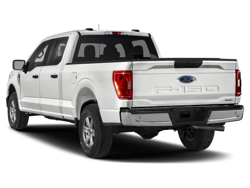 2021 Ford F-150 XLT 4WD SuperCrew 5.5' Box Exterior Shot 9