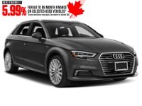 2018 Audi A3 e-tron 1.4 TFSI Technik Exterior Shot 9
