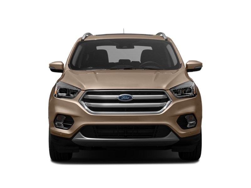 2017 Ford Escape 4WD 4dr Titanium Exterior Shot 6