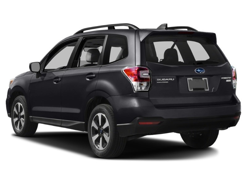 2017 Subaru Forester 5dr Wgn CVT 2.5i Convenience Exterior Shot 10