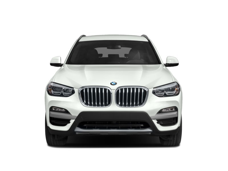 2021 BMW X3 xDrive30i Sports Activity Vehicle Exterior Shot 6