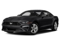 2020 Ford Mustang EcoBoost Fastback Exterior Shot 1