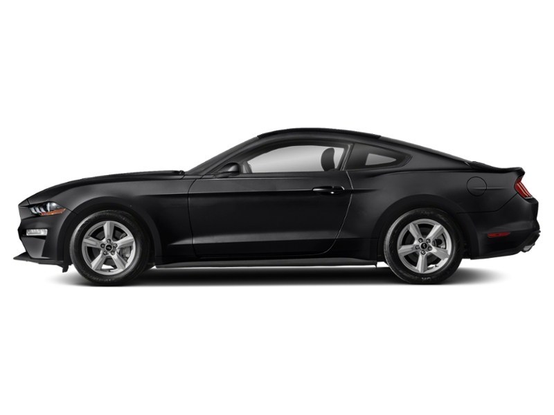 2020 Ford Mustang EcoBoost Fastback Exterior Shot 7
