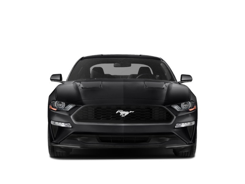 2020 Ford Mustang EcoBoost Fastback Exterior Shot 6