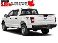 2018 Ford F-150 XL 4WD SuperCrew 5.5' Box Exterior Shot 10