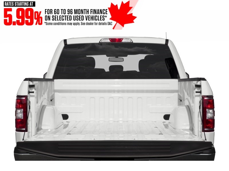 2019 Ford F-150 XLT 4WD SuperCrew 5.5' Box Exterior Shot 4
