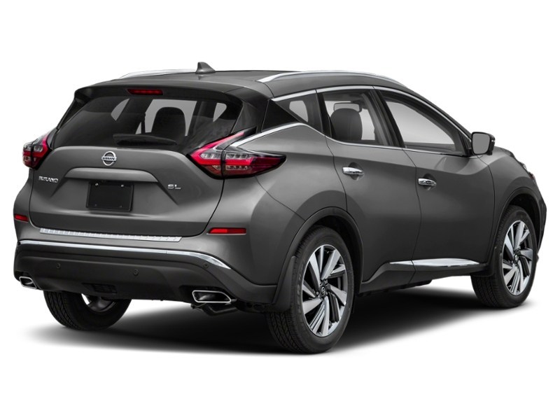 2019 Nissan Murano Platinum Exterior Shot 2